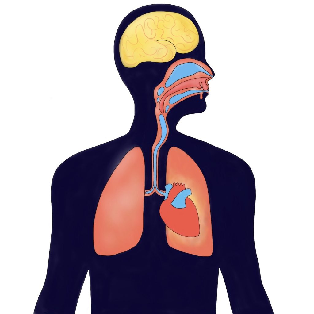 A diagram comparing obstructive sleep apnea (OSA) and central sleep apnea (CSA)